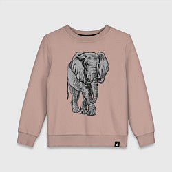 Свитшот хлопковый детский Огромный могучий слон, цвет: пыльно-розовый