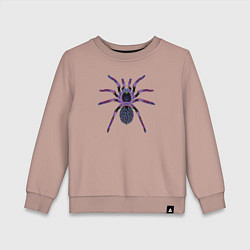 Свитшот хлопковый детский Огромный психоделический паук, цвет: пыльно-розовый