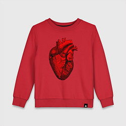 Свитшот хлопковый детский Сердце анатомическое, цвет: красный