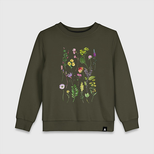 Детский свитшот Полевые растения цветы ботаника / Хаки – фото 1