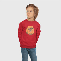 Свитшот хлопковый детский Померанский шпиц хипстер, цвет: красный — фото 2