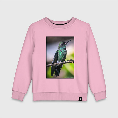 Детский свитшот Колибри на ветке / Светло-розовый – фото 1