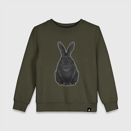 Детский свитшот Черный водяной кролик - 2023 / Хаки – фото 1