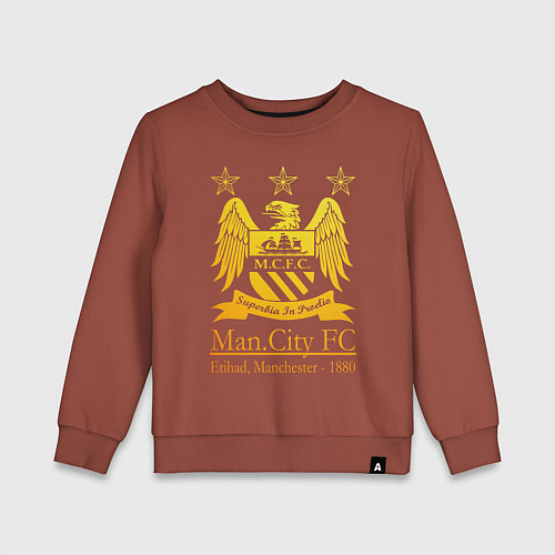 Детский свитшот Manchester City gold / Кирпичный – фото 1