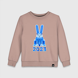 Свитшот хлопковый детский Геометрический синий кролик 2023, цвет: пыльно-розовый