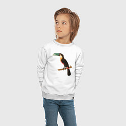 Свитшот хлопковый детский Белогрудый тукан, цвет: белый — фото 2