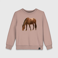 Свитшот хлопковый детский Датская теплокровная лошадь, цвет: пыльно-розовый