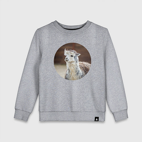 Детский свитшот Альпака / Меланж – фото 1