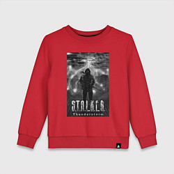Детский свитшот Stalker thunderstorm