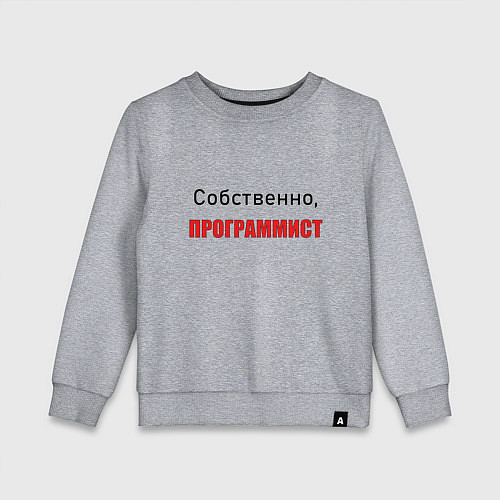 Детский свитшот Собственно, программист / Меланж – фото 1