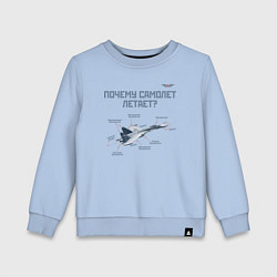 Свитшот хлопковый детский Почему самолет летает?, цвет: мягкое небо