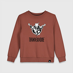 Свитшот хлопковый детский Thunderdome v 2, цвет: кирпичный