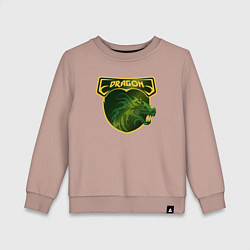 Детский свитшот Знак дракон