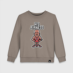 Детский свитшот Airness Jordan