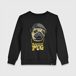 Детский свитшот Notorious pug
