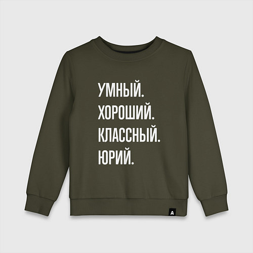 Детский свитшот Умный хороший классный Юрий / Хаки – фото 1