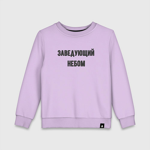 Детский свитшот Заведующий небом / Лаванда – фото 1