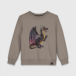 Детский свитшот HOMM3 Black Dragon