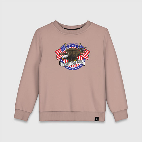 Детский свитшот United States of America / Пыльно-розовый – фото 1