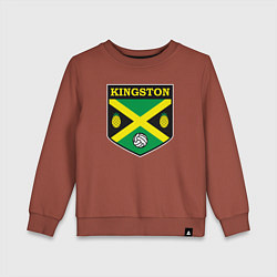 Свитшот хлопковый детский Kingston volleyball, цвет: кирпичный