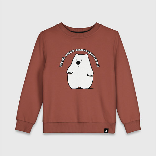 Детский свитшот Контроль ситуации / Кирпичный – фото 1