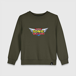 Детский свитшот Team Sonic racing - logo