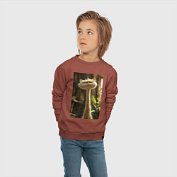 Свитшот хлопковый детский Кот с длинной шеей, цвет: кирпичный — фото 2