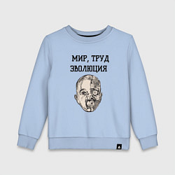 Свитшот хлопковый детский Мир труд эволюция, цвет: мягкое небо