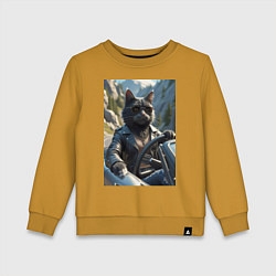 Детский свитшот Кот за рулем кабролета