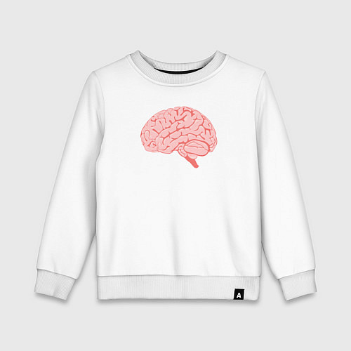 Детский свитшот Мозг иллюстрация / Белый – фото 1