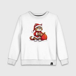 Свитшот хлопковый детский Котик дед мороз с мешочком подарков, цвет: белый