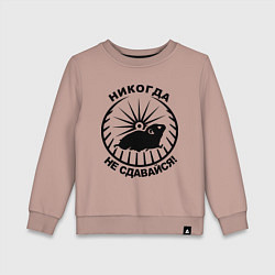 Детский свитшот Хомяк в колесе