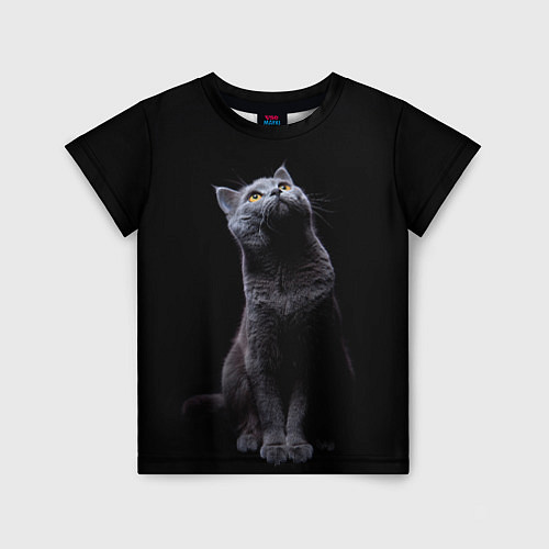 Детская футболка Кот Британец / 3D-принт – фото 1