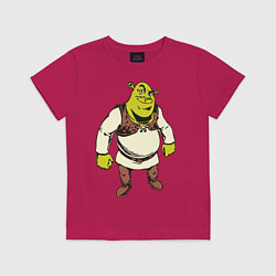 Футболка хлопковая детская Shrek 3, цвет: маджента