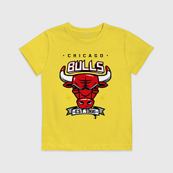 Детская футболка Chicago Bulls est. 1966