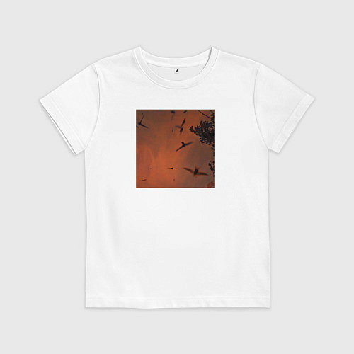 Детская футболка Птицы на фоне заката / Белый – фото 1