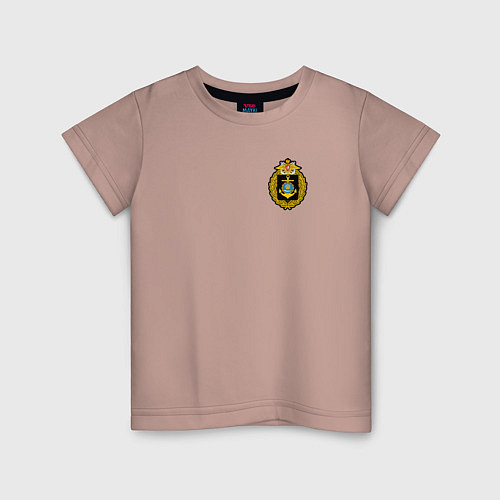 Детская футболка Каспийская флотилия ВМФ России / Пыльно-розовый – фото 1