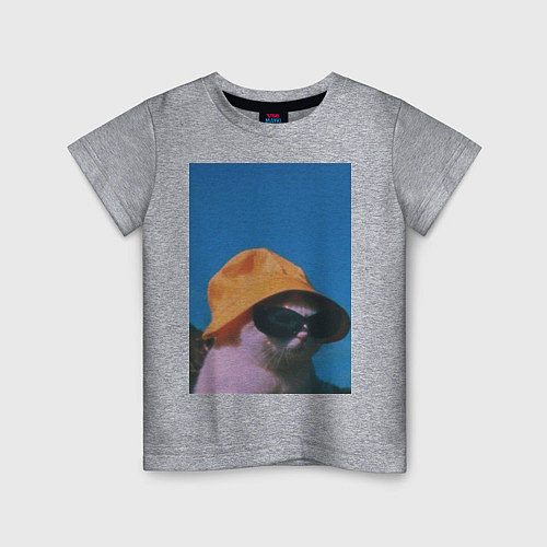 Детская футболка Котик в шляпе и очках / Меланж – фото 1