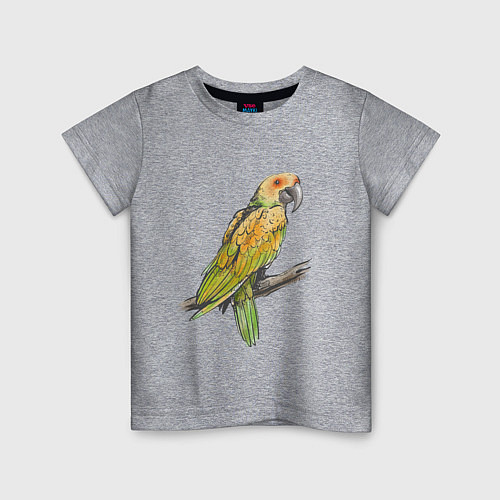 Детская футболка Любимый попугай / Меланж – фото 1