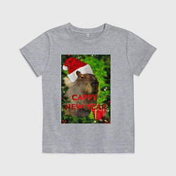 Футболка хлопковая детская Капибара happy new year capybara новый год, цвет: меланж