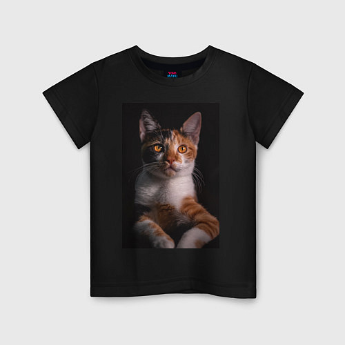 Детская футболка Умный взгляд кота / Черный – фото 1