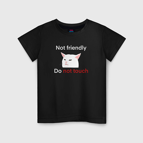 Детская футболка Not friendly, do not touch, текст с мемным котом / Черный – фото 1