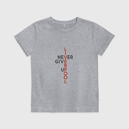 Детская футболка Liverpool - Never Give Up / Меланж – фото 1