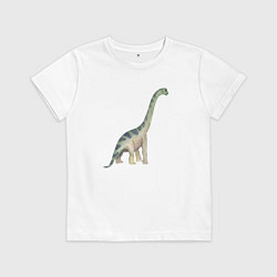 Футболка хлопковая детская Mamenchisaurus Мамэньсизавр маменчизавр, цвет: белый