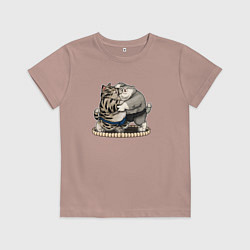 Детская футболка КОТИКИ СУМОИСТЫ
