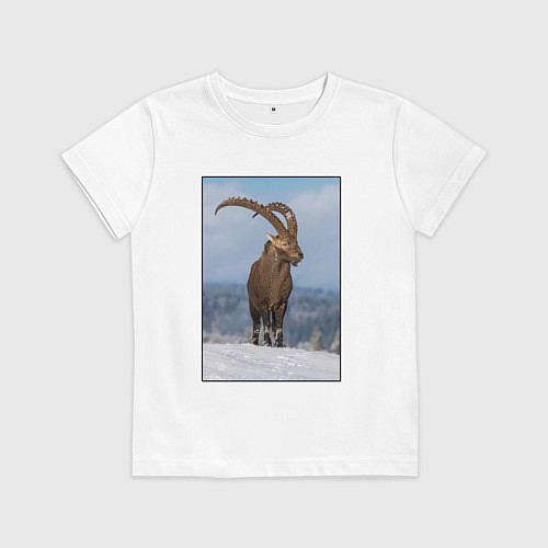 Детская футболка Горный козел на снежной горе / Белый – фото 1
