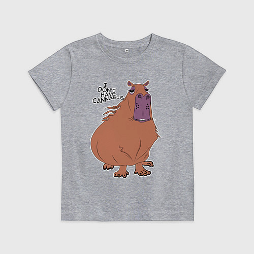 Детская футболка I dont have cannabis / Меланж – фото 1
