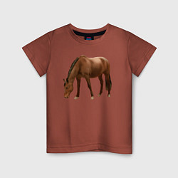 Футболка хлопковая детская Датская теплокровная лошадь, цвет: кирпичный