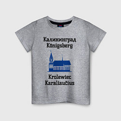 Футболка хлопковая детская Калининград, цвет: меланж