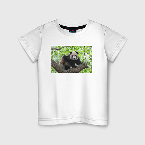 Детская футболка Медведь панда на дереве / Белый – фото 1